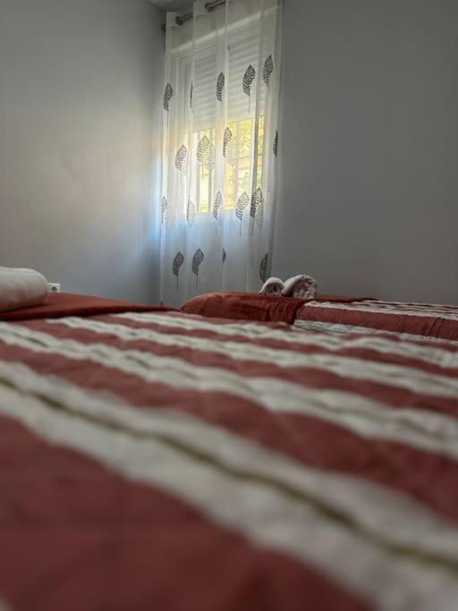 Apartamento Turistico O.N Renfe Cordoba Luaran gambar